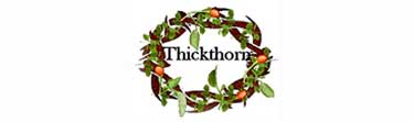 thickthorn ocicats